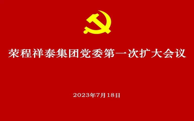 榮程祥泰集團黨委獲批成立 黨委高標(biāo)準(zhǔn)部署推動選舉工作