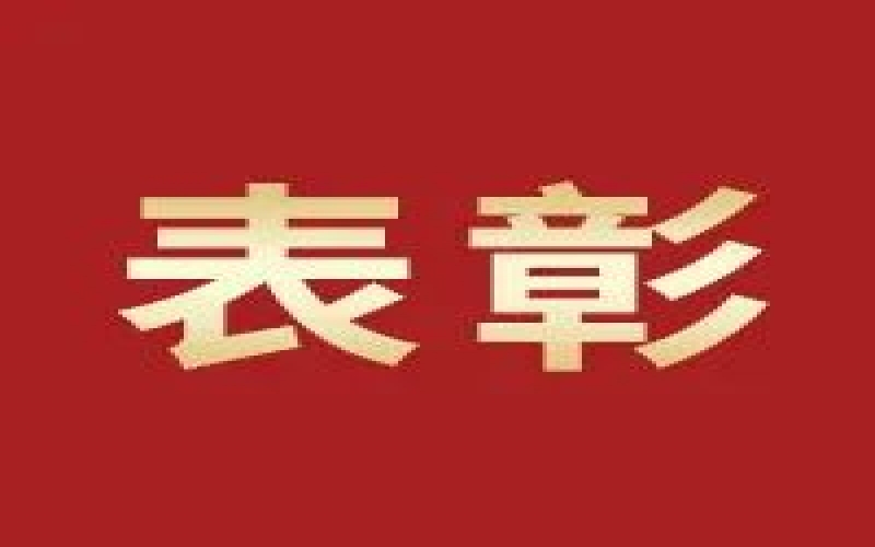奮進(jìn)2023，這些集體和個(gè)人無上“榮”光