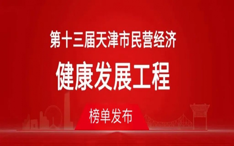 榮程集團(tuán)榮登天津市民營經(jīng)濟(jì)健康發(fā)展工程多個榜單