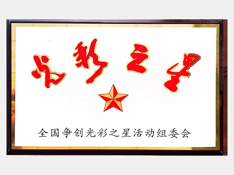 中國企業(yè)500強(qiáng)第256名