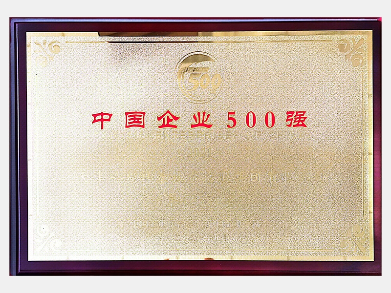 2021中國企業(yè)500強(qiáng)第257名