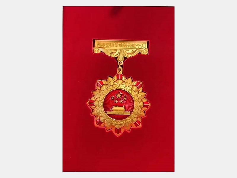 天津市脫貧攻堅先進(jìn)個人